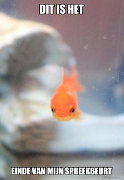 Grumpy Fish