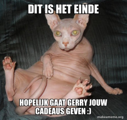 Hairless Cat