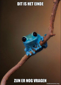 Small Fact Frog