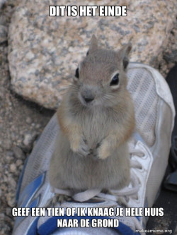 Standover Squirrel