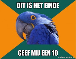 Paranoid Parrot