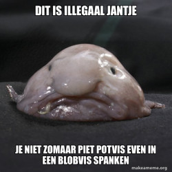 Blobfish