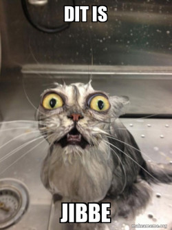 Cat bath