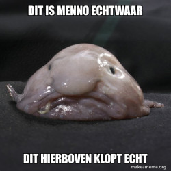 Blobfish
