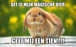 Regretful Rabbit