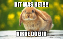 Regretful Rabbit