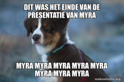 Unsure Dog