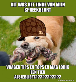 Scumbag dog