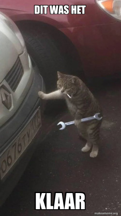 Mechanic Cat
