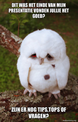 Sad Owl