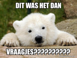 Popular Opinion Bear