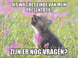 Baby Insanity Wolf