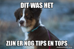 Unsure Dog