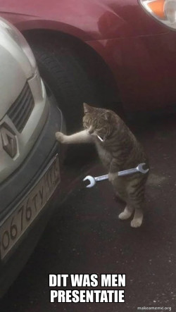 Mechanic Cat
