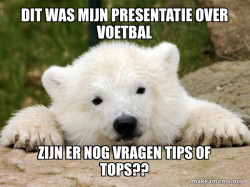 Popular Opinion Bear