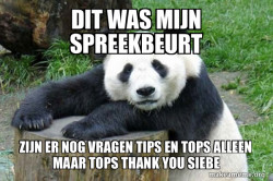 panda