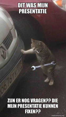 Mechanic Cat