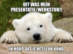 Popular Opinion Bear