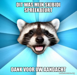 Lame Pun Coon
