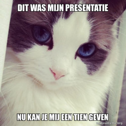 Ridiculously Photogenic Cat