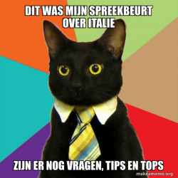 funny cat