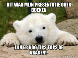 Popular Opinion Bear