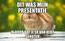 Regretful Rabbit