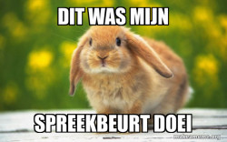 Regretful Rabbit