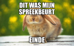 Regretful Rabbit