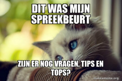 First World Cat Problems