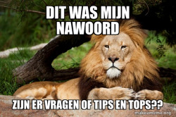 Contemplative Lion