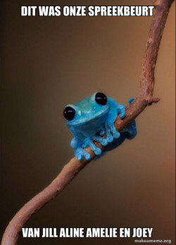 Small Fact Frog
