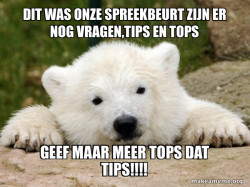 Popular Opinion Bear