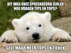 Popular Opinion Bear