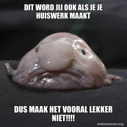 Blobfish