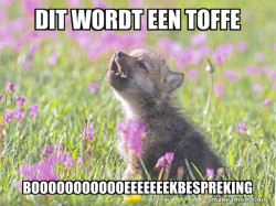 Baby Insanity Wolf