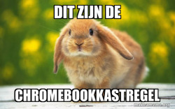 Regretful Rabbit
