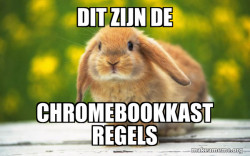 Regretful Rabbit