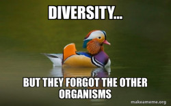 Fashionable Advice Mallard