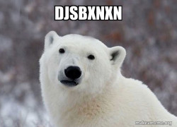 Popular Opinion Polar Bear