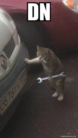 Mechanic Cat