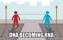 Coronavirus Social Distancing