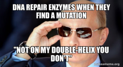 Vladamir Putin