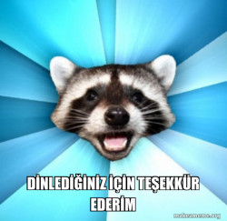 Lame Pun Coon