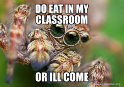 Hipster Spider