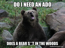 Sarcastic Bear