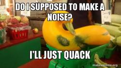 Gourd Advice Mallard