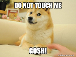 Doge