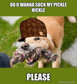 Scumbag dog