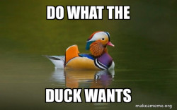 Fashionable Advice Mallard
